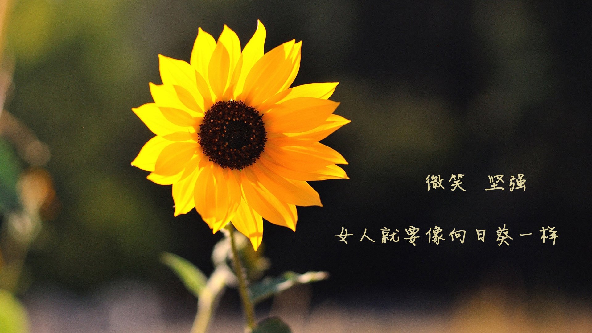 kaiyun中国官方网站-中国篮协计划推行全民Basketball运动，扩大影响力，中国全国篮球协会